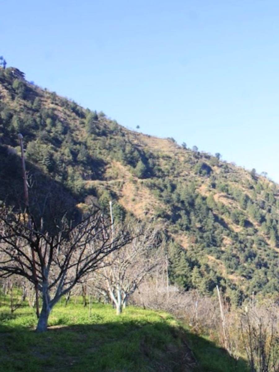 best hotel in Himachal