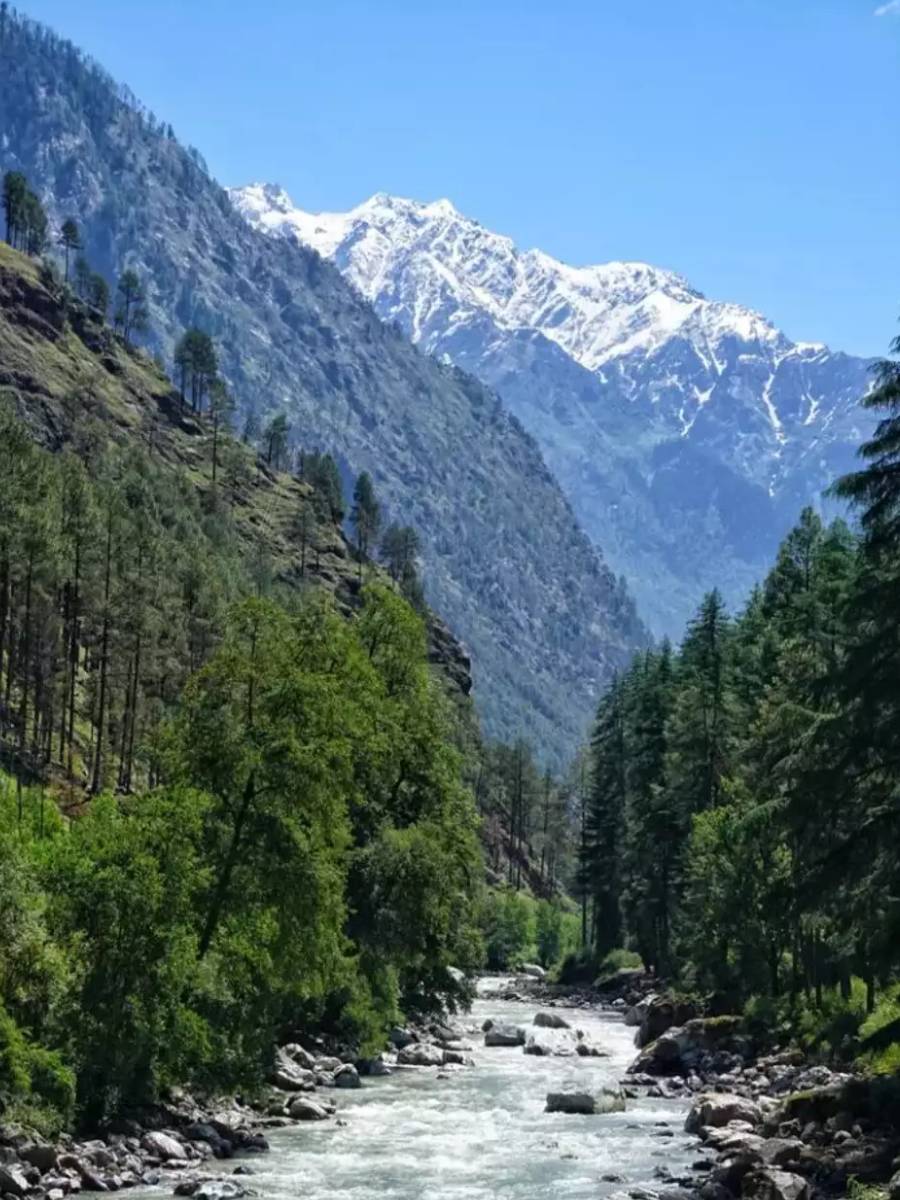 best hotel in Himachal